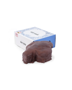 Colomba ricoperta di cioccolato fondente
