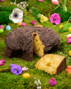 Colomba Foresta extra fondente