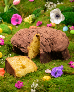 Colomba ricoperta di cioccolato Foresta classica al latte